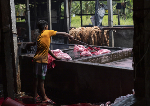 Bangladeshi boy dyeing fabrics in red in a batik factory, Chittagong Division, Comilla, Bangladesh