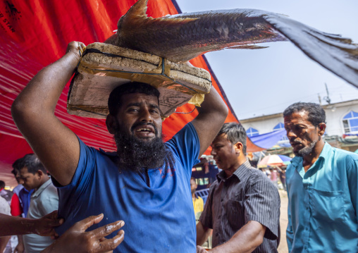 Bangladeshi man carrying big fishes on his head, Chittagong Division, Chittagong, Bangladesh