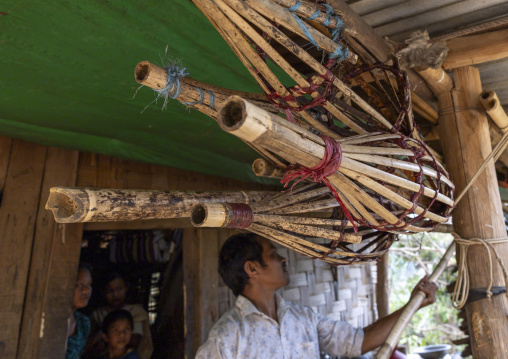 Bamboo tool to harvest mangoes in the trees, Chittagong Division, Rowangchhari, Bangladesh