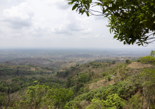 Forest landscape in the Murong tribe hills, Chittagong Division, Bandarban, Bangladesh