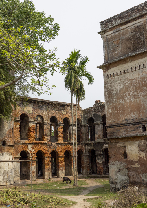 Abandonned Teota Zamindar Bari, Dhaka Division, Shivalaya, Bangladesh