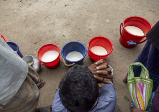 Bangladeshi farmers selling their fresh cow milk in the market, Dhaka Division, Dhamrai, Bangladesh