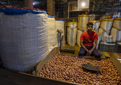 Bangladeshi selling onions in the market, Rajshahi Division, Shibganj, Bangladesh