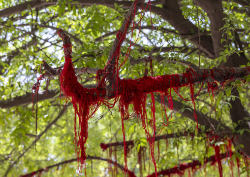 Red strings hanged to a tree to make wish in Kantajew hindu Temple, Rangpur Division, Dinajpur, Bangladesh