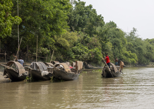 Bangladeshi fishermen use otters to fish in the Sundarbans, Khulna Division, Narail, Bangladesh