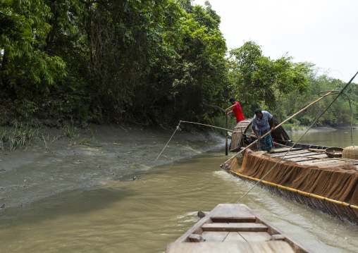 Bangladeshi fishermen use otters to fish in the Sundarbans, Khulna Division, Narail, Bangladesh