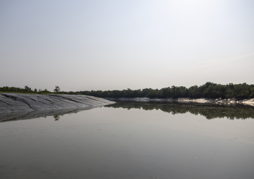 Riverbank in the morning, Khulna Division, Mongla, Bangladesh