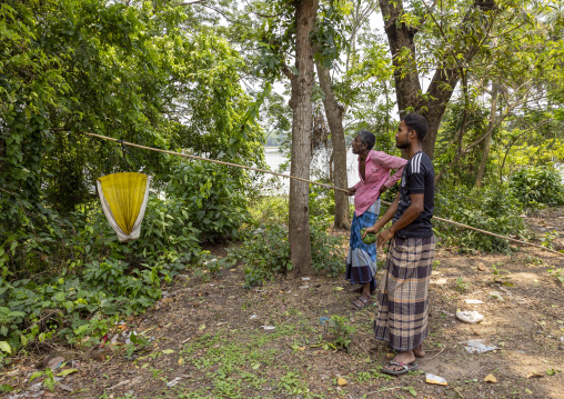 Bangladeshi men collecting ant larvae in nest in the trees, Khulna Division, Bagerhat, Bangladesh