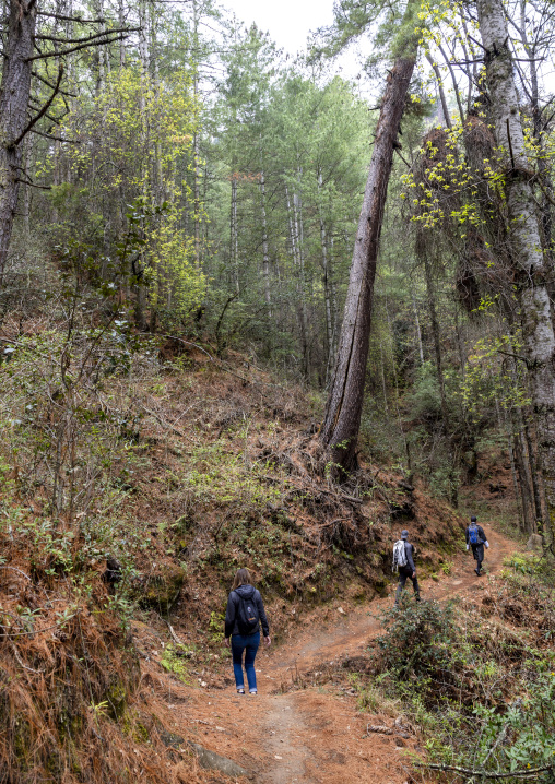 Tourists hiking in Kuenselphodrang Nature Park, Chang Gewog, Thimphu, Bhutan