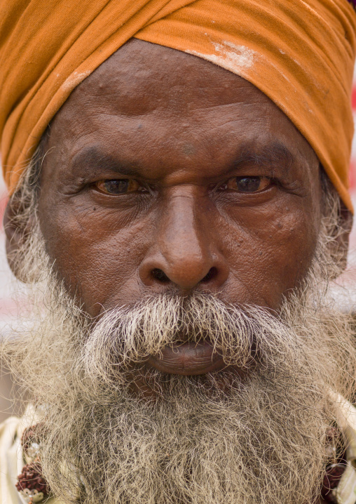 Portrait of an old sadhu wearing a turban and a white beard, Tamil Nadu, Trichy, India
