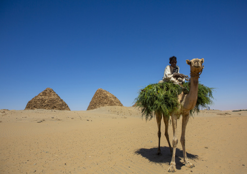 Sudan, Nubia, Nuri, Kids on a camel in front of the royal pyramids of napata