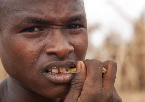 Young Dassanech man with traditional toothbrush, Omo valley, Omorate, Ethiopia