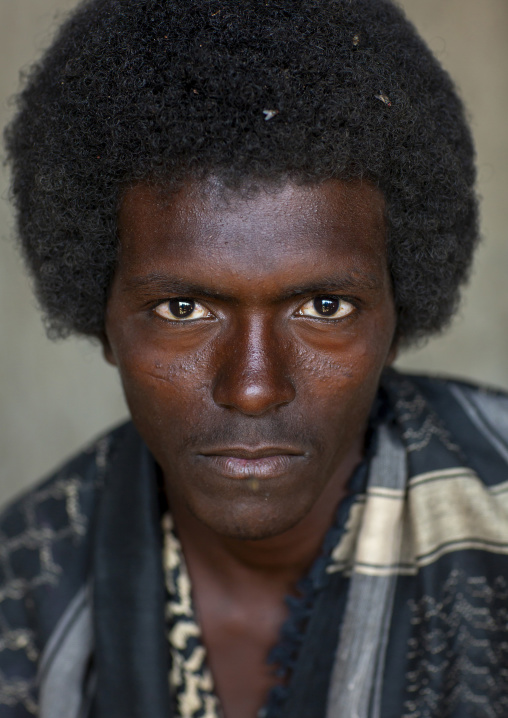 Portrait of an Afar tribe man with afro hair, Afar Region, Assayta, Ethiopia