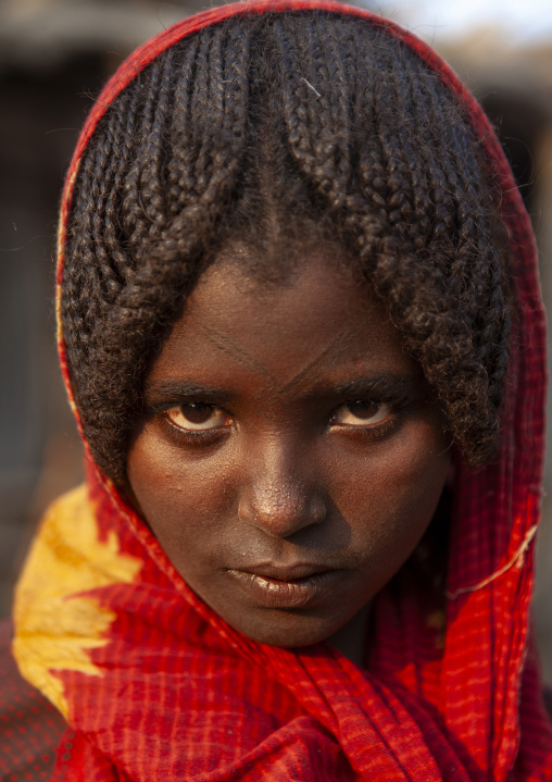 Portrait of an Afar tribe girl, Afar Region, Assayta, Ethiopia