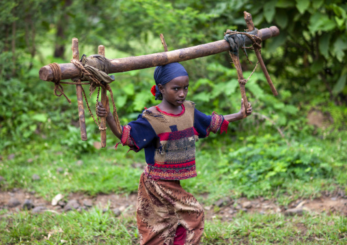 Kaffa girl carrying wood, South West Region, Mizan Teferi, Ethiopia
