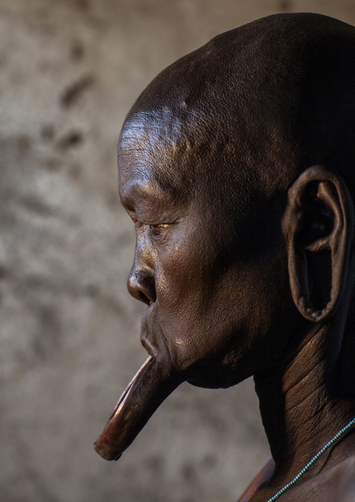 Portrait of a  Mursi tribe woman with enlarged lip, Mago national park, Omo valley, Ethiopia
