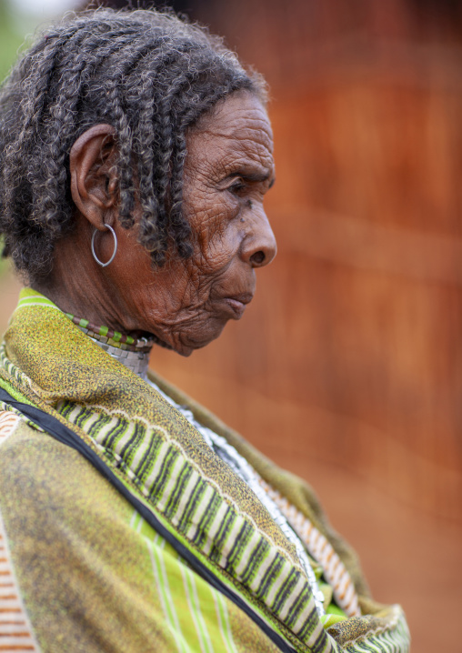 Portrait of a old borana tribe woman, Yabello, Omo valley, Ethiopia