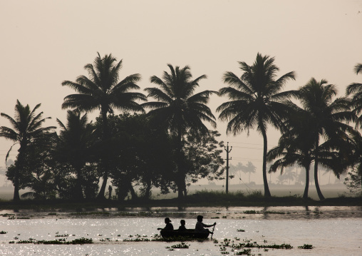 Small boat on backwaters, Kerala, Alleppey, India