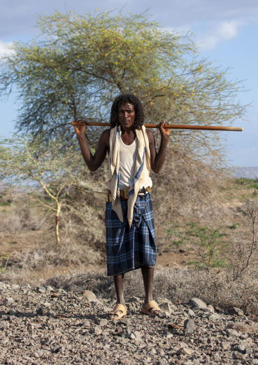 Afar tribe man with traditional hairstyle, Assaita, Afar regional state, Ethiopia