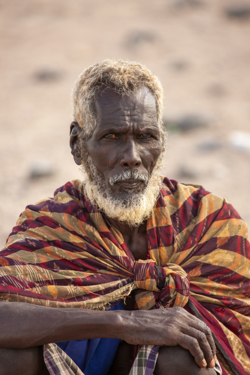Old afar tribe man with white beard, Obock Region, Khor angar, Djibouti
