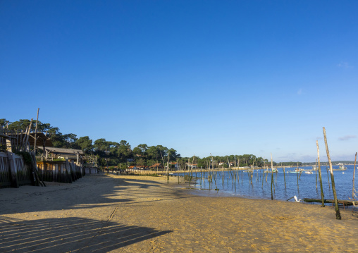 Oyster farm with growing oysters, Nouvelle-aquitaine, Cap Ferret, France