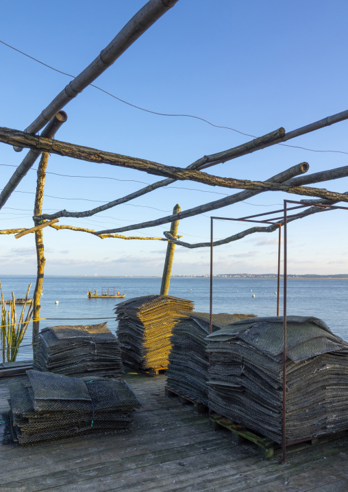 Oyster farm with growing oysters, Nouvelle-aquitaine, Cap Ferret, France