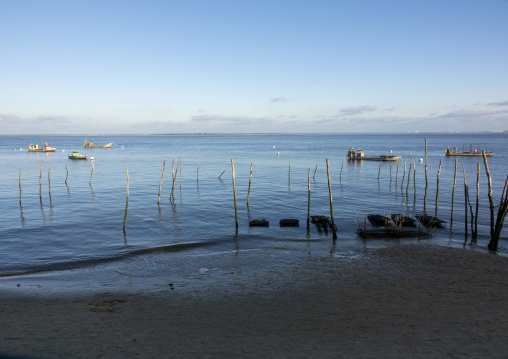 Oyster farm with growing oysters, Nouvelle-aquitaine, Cap Ferret, France