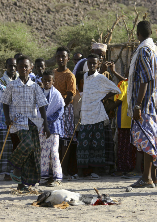 Goat sacrifice during Afar tribe wedding, Northern Red Sea, Thio, Eritrea