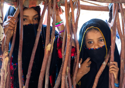 Portrait of veiled Rashaida tribe girls, Northern Red Sea, Massawa, Eritrea