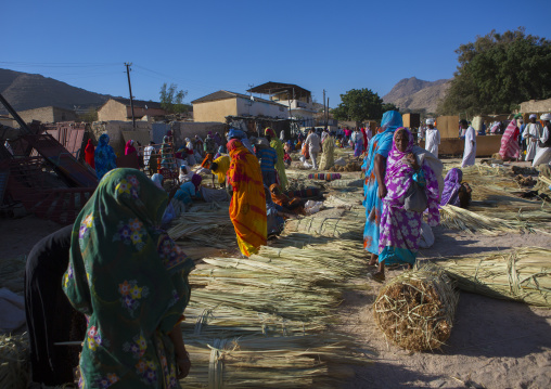 Monday carpet market, Anseba, Keren, Eritrea