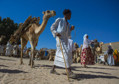 Monday wood and camel market, Anseba, Keren, Eritrea