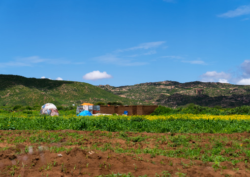 Refugee camp of somali people, Oromia, Babile, Ethiopia