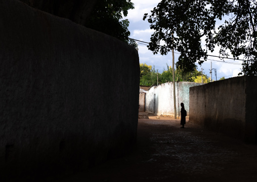 Ethiopian woman in the streets of the old town, Harari Region, Harar, Ethiopia