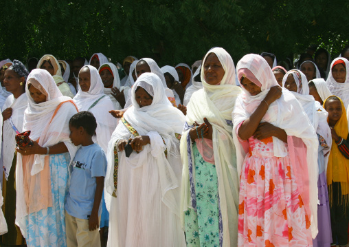 Pilgrims at st mariam dearit baobab, Anseba, Keren, Eritrea