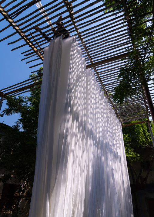 Indian worker drying white sarees, Rajasthan, Jaipur, India