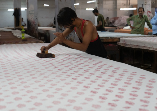 Block printing workshop, Rajasthan, Jaipur, India