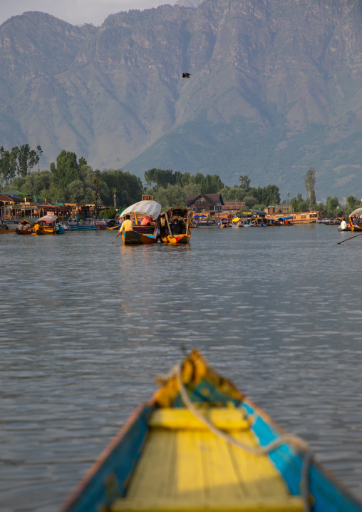 View of Dal lake from a shikara boat, Jammu and Kashmir, Srinagar, India