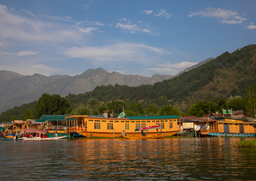 Houseboats on Dal Lake, Jammu and Kashmir, Srinagar, India