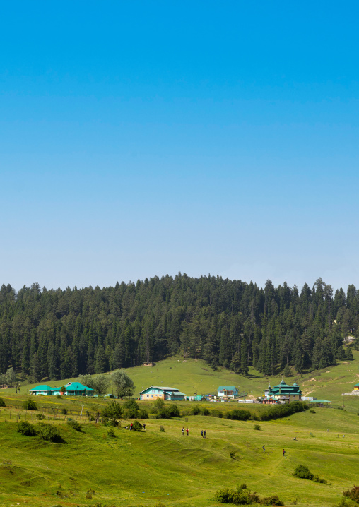 Hill station, Jammu and Kashmir, Yusmarg, India