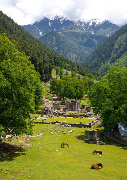 Ruins of Naranag Temple on ancient Hindu pilgrimage site, Jammu and Kashmir, Kangan, India