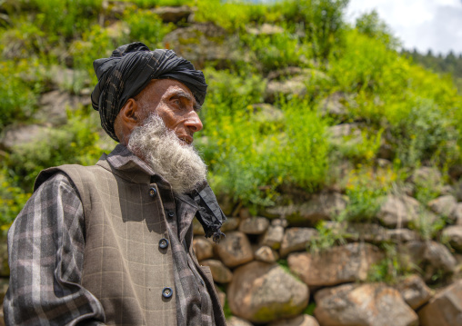 Portrait of an old Gujjar Bakerwal bearded man, Jammu and Kashmir, Kangan, India