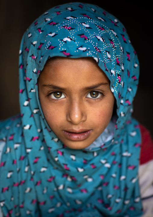 Portrait of a veiled Gujjar Bakerwal girl, Jammu and Kashmir, Kangan, India