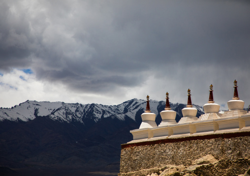 Shey Monastery stupas in front of the mountain, Ladakh, Shey, India
