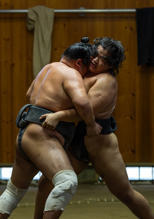 Sumo wrestlers fighting in Tatsunami Beya sumo stable, Kanto region, Tokyo, Japan