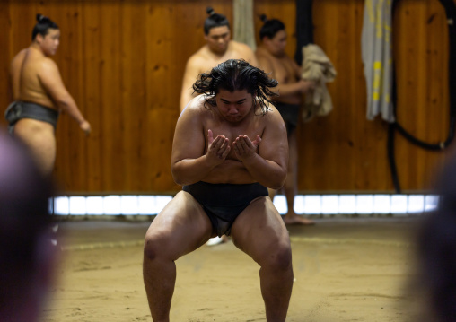 Sumo wrestlers training in Tatsunami Beya sumo stable, Kanto region, Tokyo, Japan