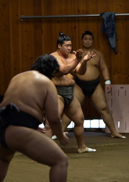 Sumo wrestlers training in Tatsunami Beya sumo stable, Kanto region, Tokyo, Japan