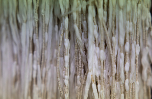 Kurume Kasuri weaving in Aika Tanaka Kasuri Kobo workshop, Kyushu region, Chikugo, Japan