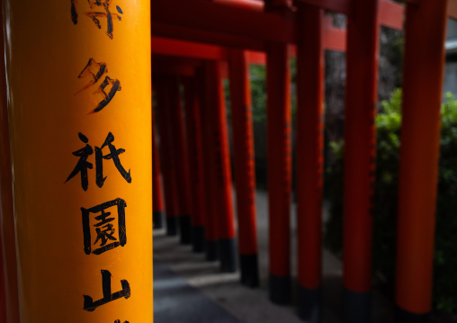 Torii in Kushida-jinja shinto shrine, Kyushu region, Fukuoka, Japan