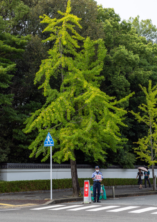 japanese senior man monitoring the entry of a parking, Kyushu region, Fukuoka, Japan