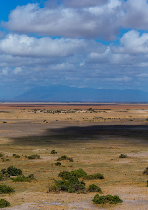 Savanna landscape, Kajiado County, Amboseli, Kenya